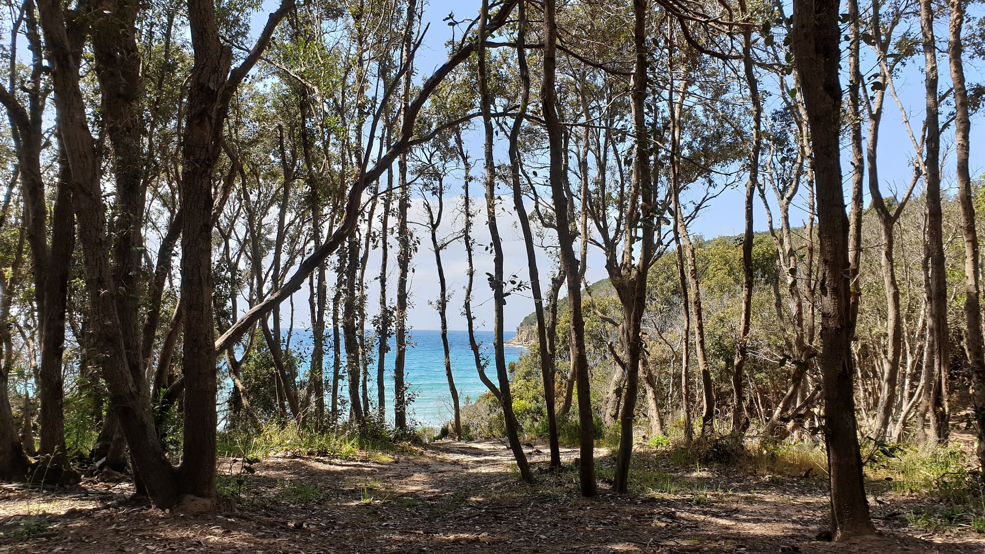 Camping Pionier Etrusco